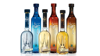 Illustration for article titled The 20 Weirdest, Coolest Liquor Bottles in the World